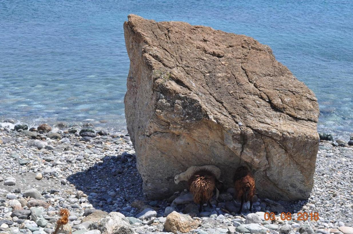 Island Villa Ajía Galíni Kültér fotó