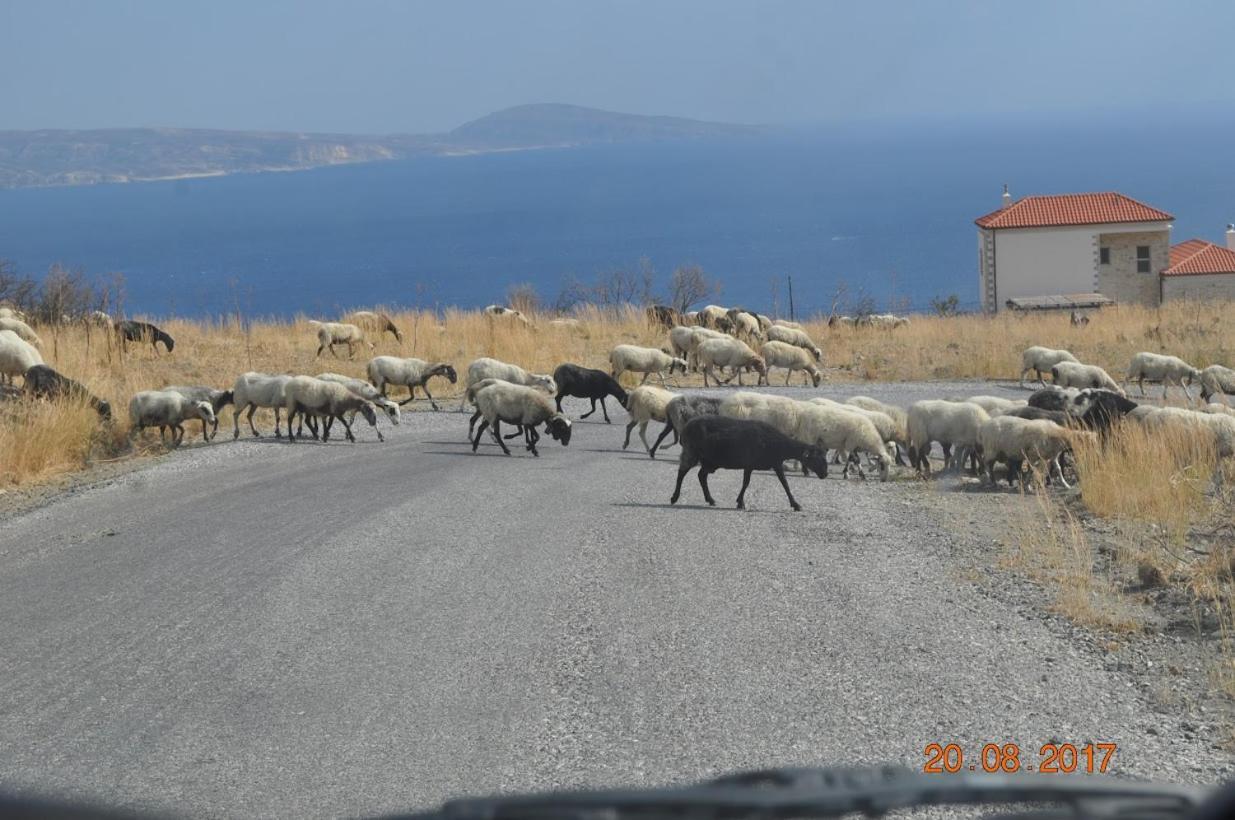 Island Villa Ajía Galíni Kültér fotó