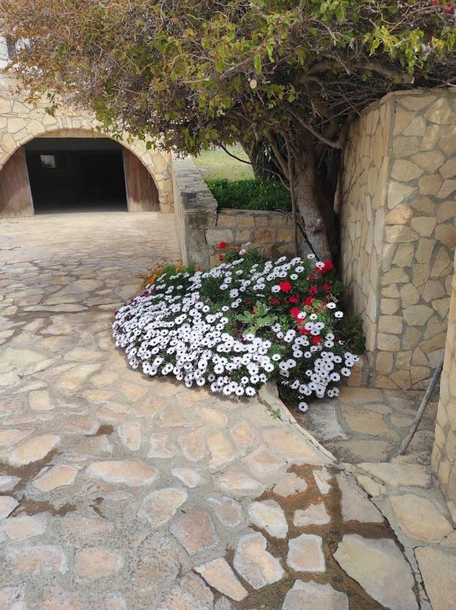 Island Villa Ajía Galíni Kültér fotó