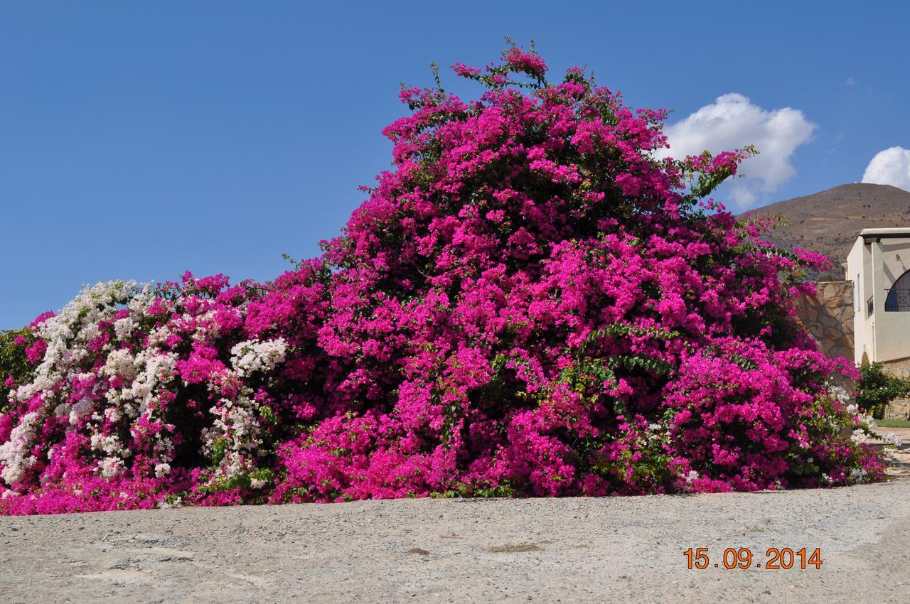 Island Villa Ajía Galíni Kültér fotó